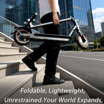 Folding Electric Scooter