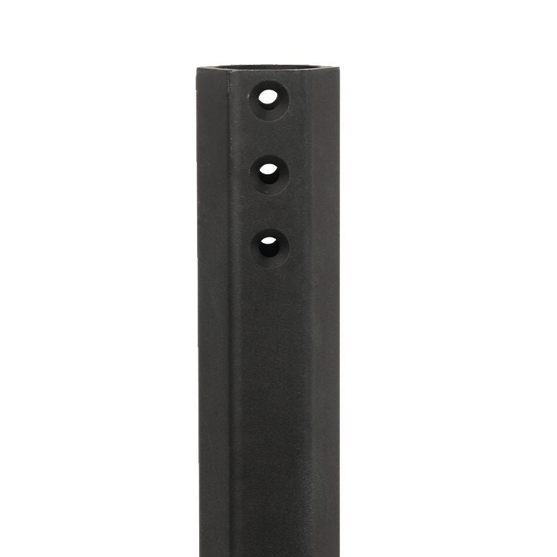 Main pole
